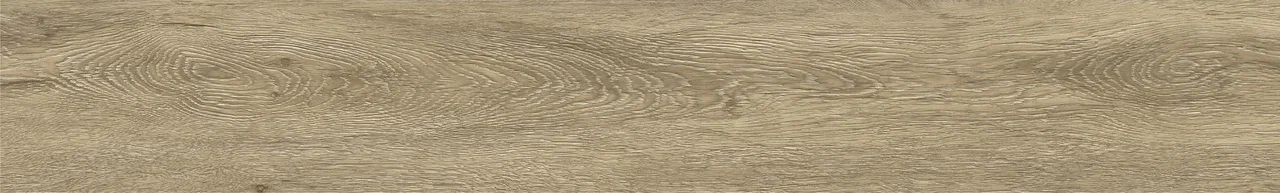 Дуб Фернан/Oak Fernan