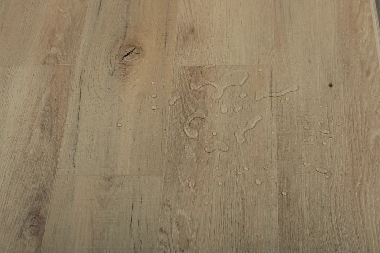 Дуб Кельвин/Oak Calvin