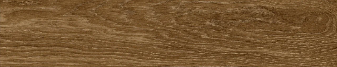 Дуб Оскар/Oak Oskar