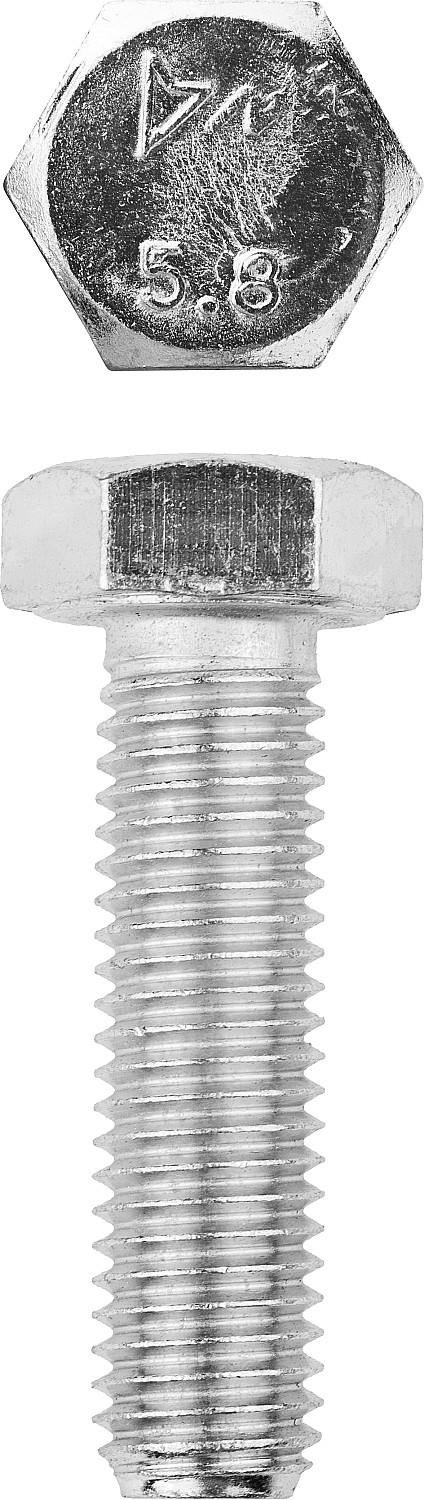 ЗУБР ГОСТ 7798-70, кл. пр. 5.8, M12 х 50 мм, цинк, 5 кг, болт (303080-12-050)