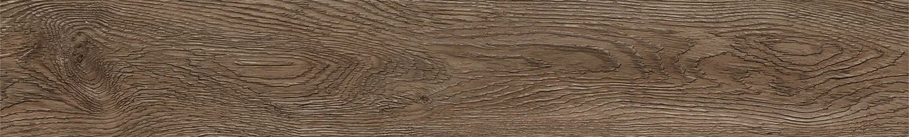 Дуб Америго/Oak Amerigo