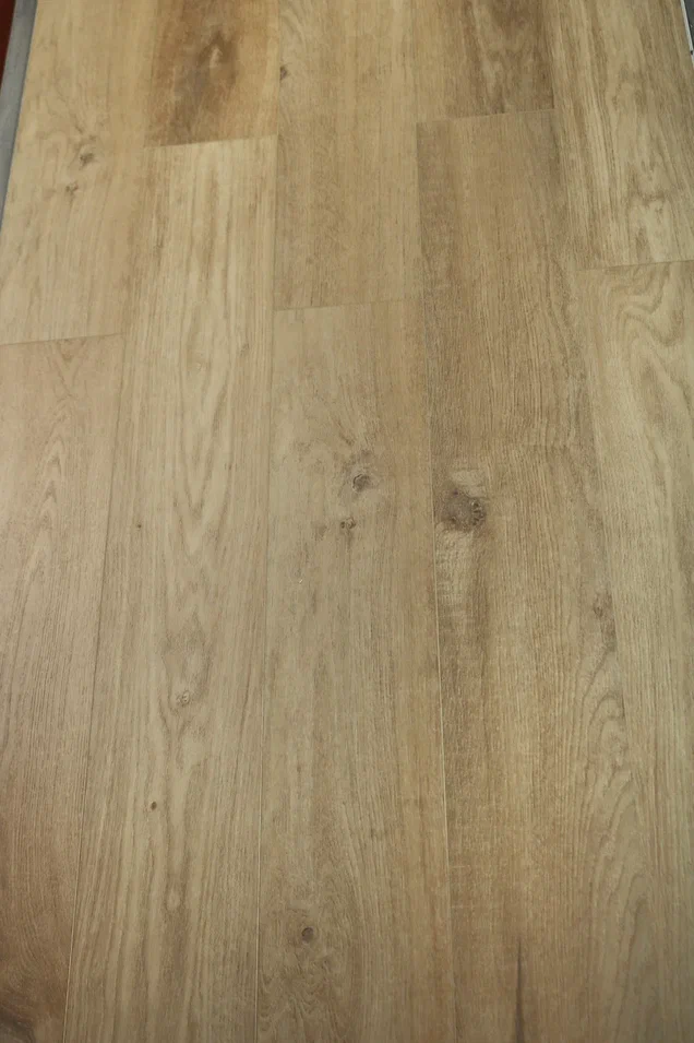 Дуб Кристобаль/Oak Cristobal