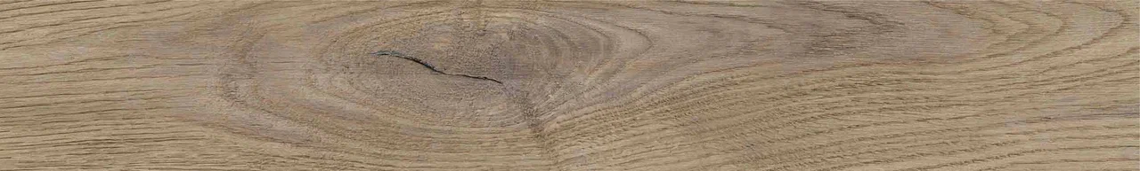 Дуб Васко/Oak Vasko