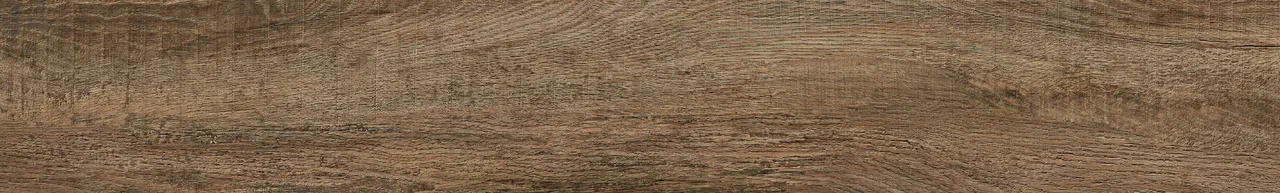 Дуб Френсис/Oak Frencis