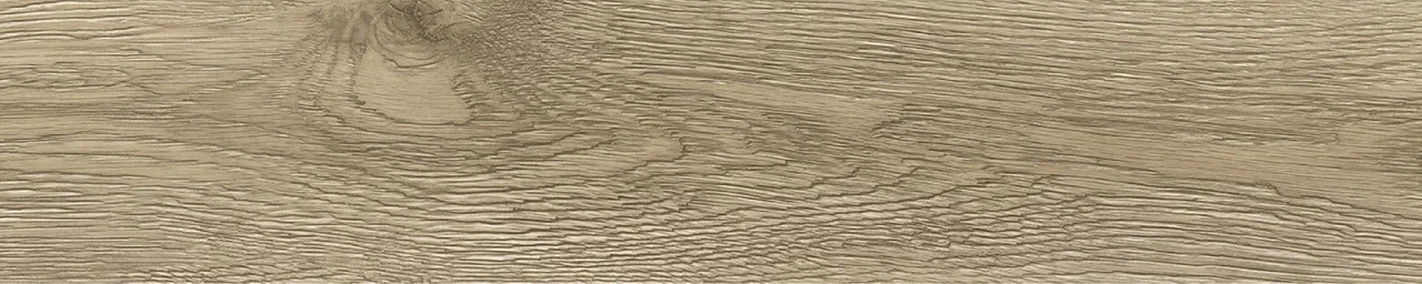 Дуб Бове/Oak Bouvet