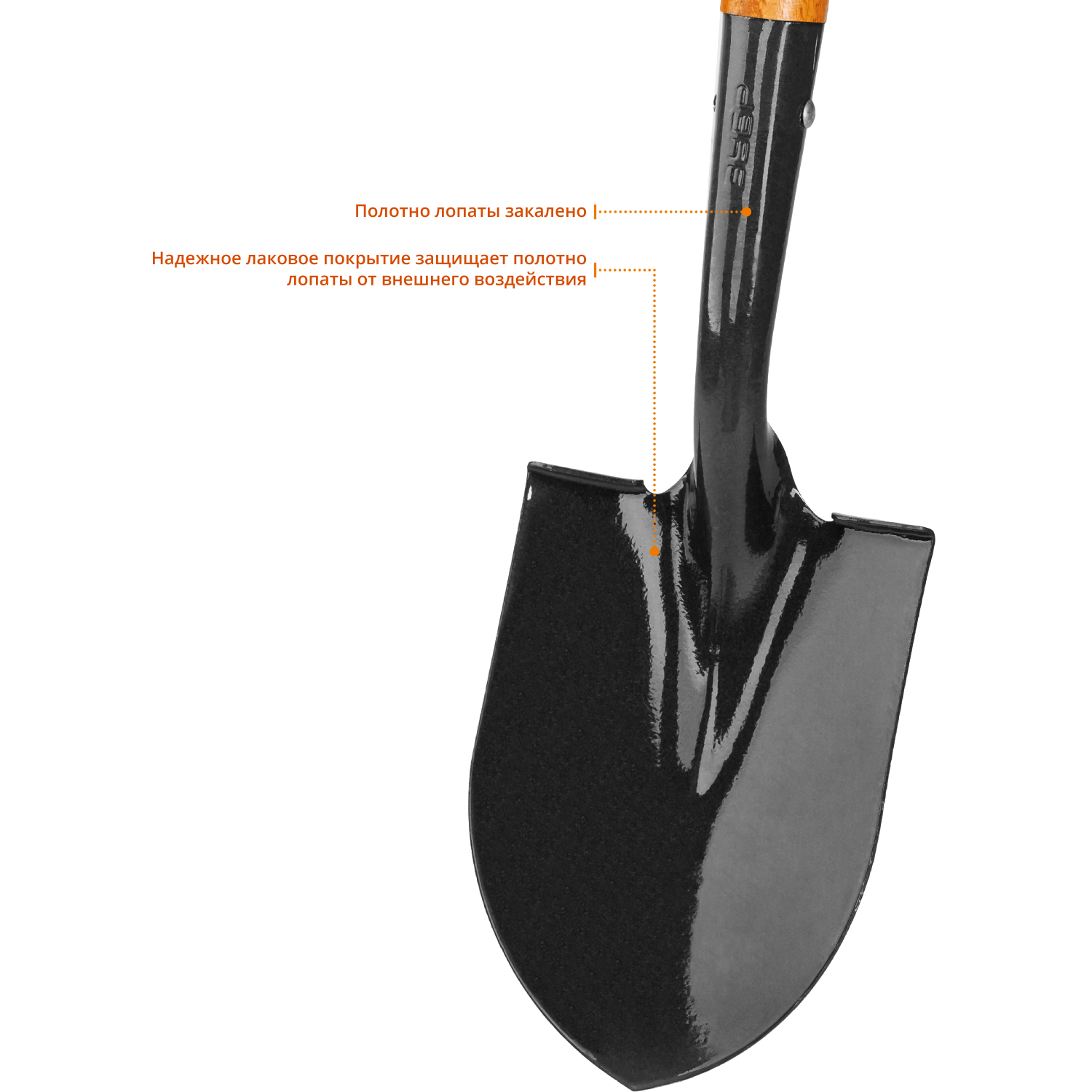 ЗУБР Профи-10, 66 см, деревянный черенок из дуба, укороченная штыковая лопата, автомобильная, закаленное полотно, Профессионал (39355)