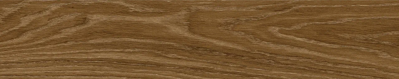 Дуб Оскар/Oak Oskar