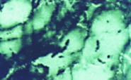 Порог алюминиевый  разноуровневый C-1 32x3,2x2700 мм, Зеленый мрамор