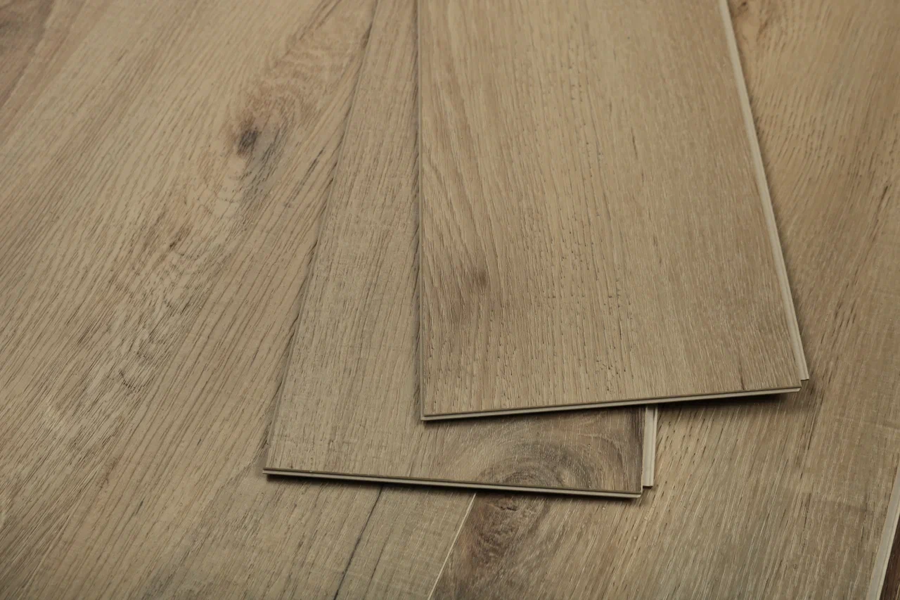 Дуб Кельвин/Oak Calvin