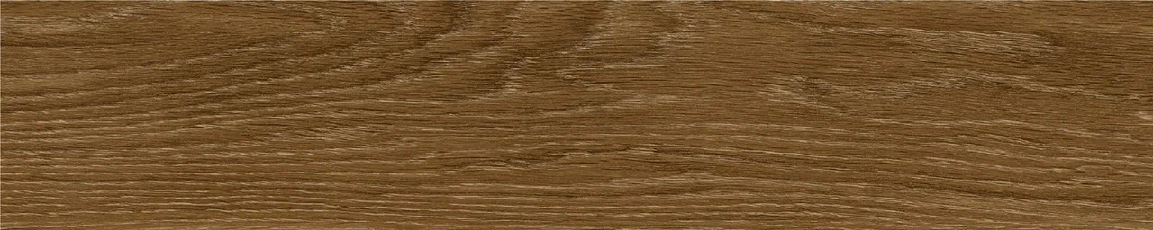 Дуб Оскар/Oak Oskar