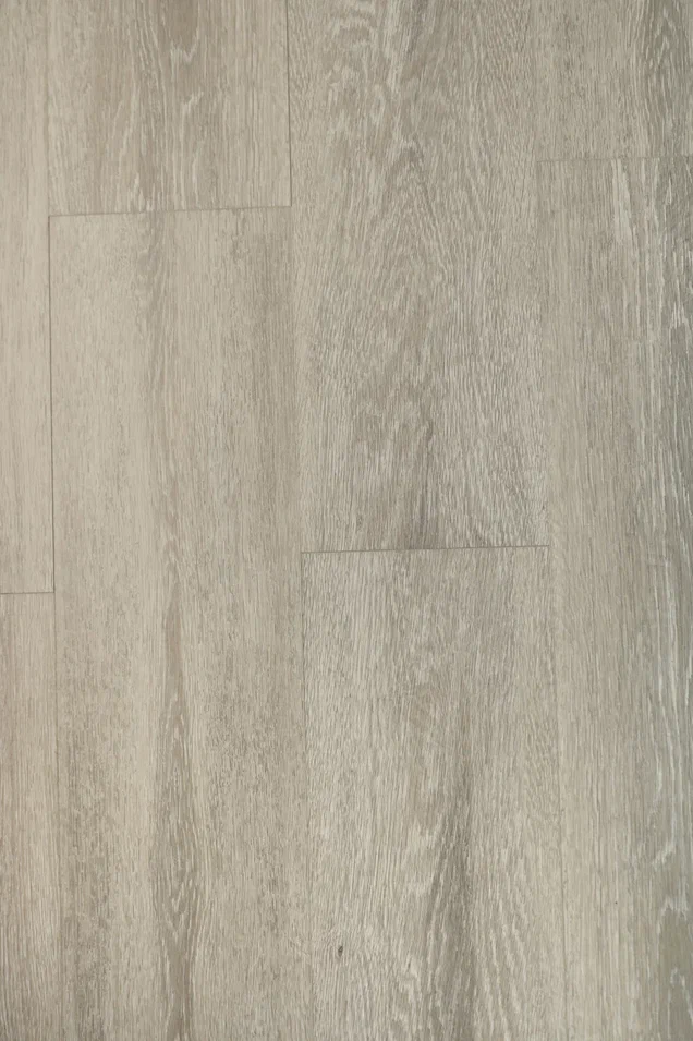  Дуб Христофор/Oak Christofor