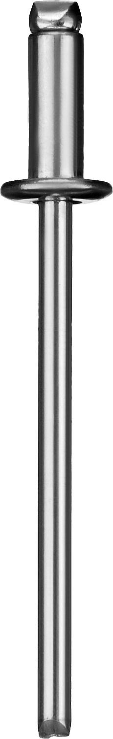 ЗУБР 6.4 x 12 мм, 250 шт, стальные заклепки, Профессионал (31312-64-12)