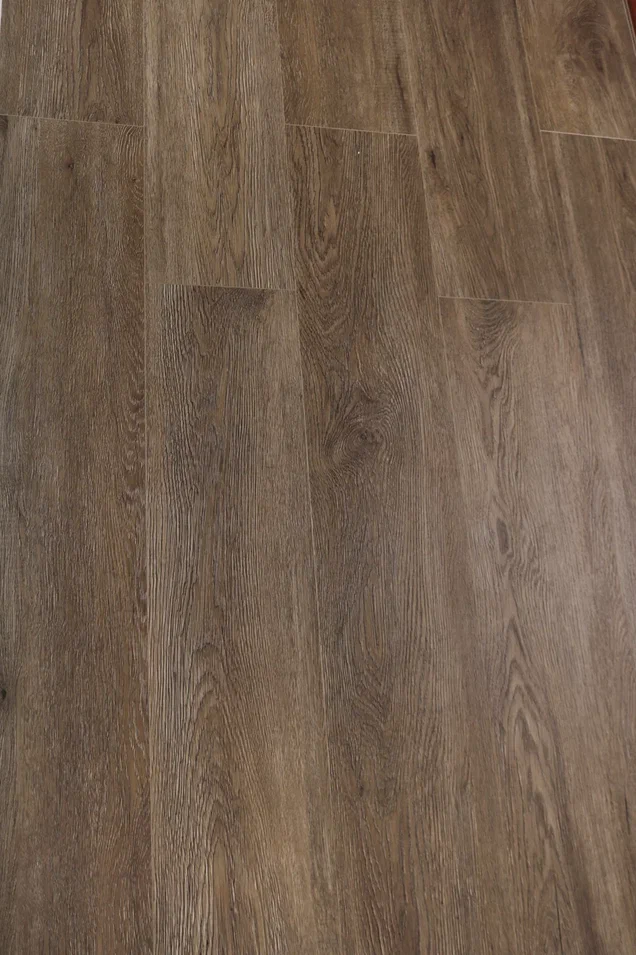 Дуб Америго/Oak Amerigo