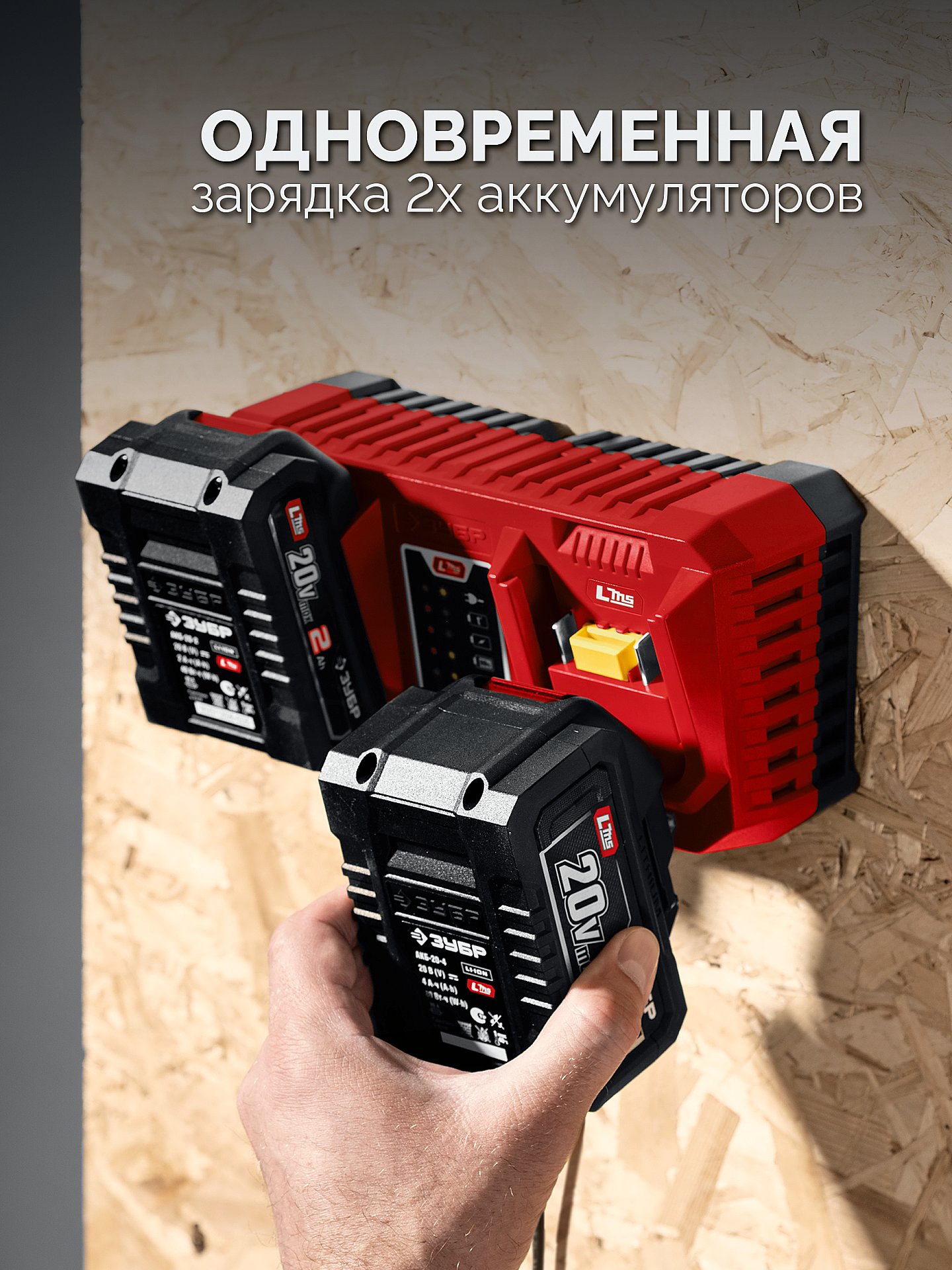 ЗУБР 20 В, 2 порта, 2 х 3 А, зарядное устройство для LMS АКБ (БЗУ-20-2)