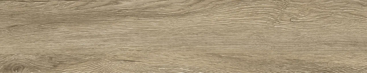 Дуб Бове/Oak Bouvet