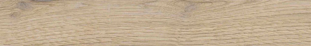 Дуб Васко/Oak Vasko