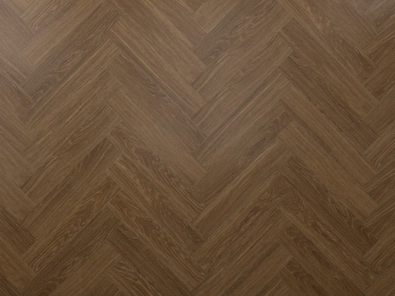 Дуб Оскар/Oak Oskar