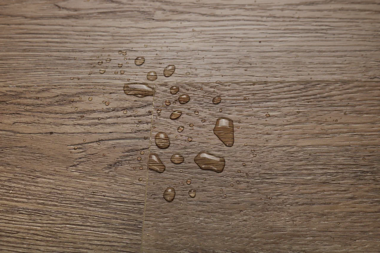 Дуб Америго/Oak Amerigo