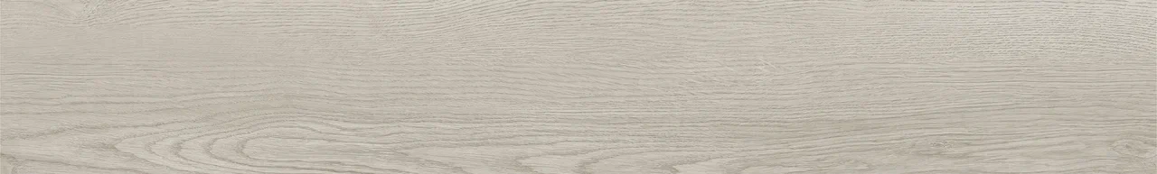 Дуб Виллем/Oak Willem