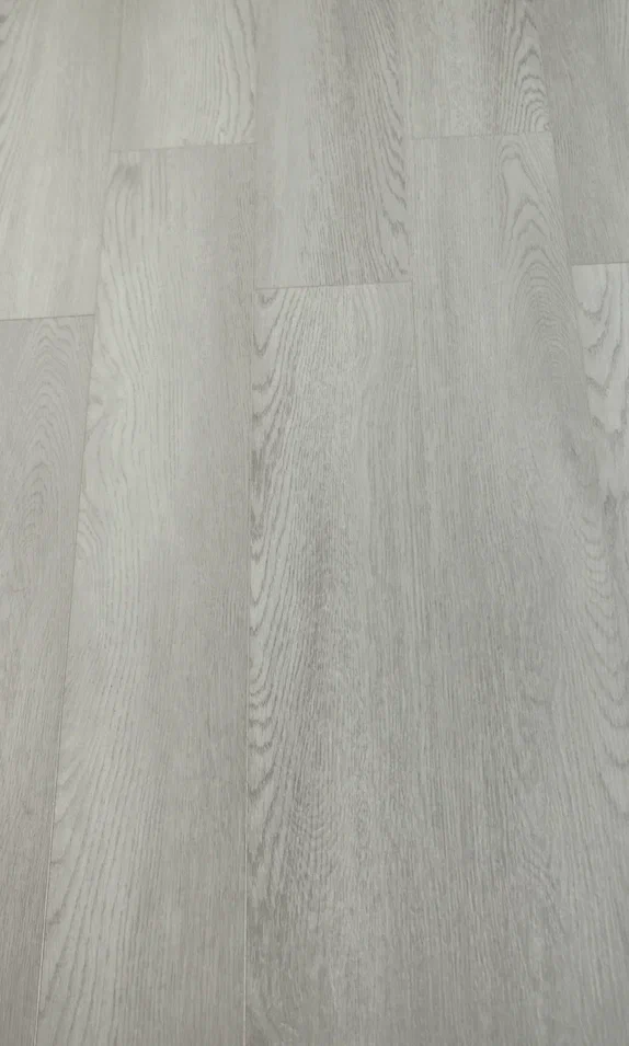 Дуб Сальваторе/Oak Salvatore