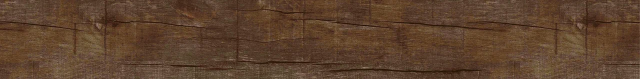 Дуб Джанни/Oak Gianni