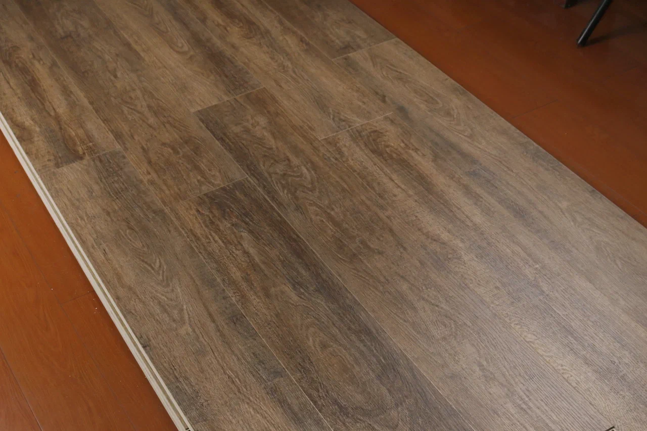 Дуб Френсис/Oak Frencis