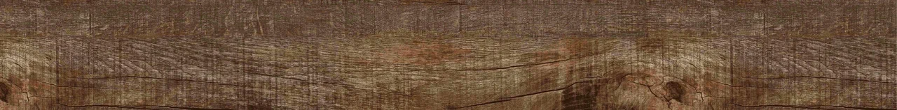 Дуб Джанни/Oak Gianni