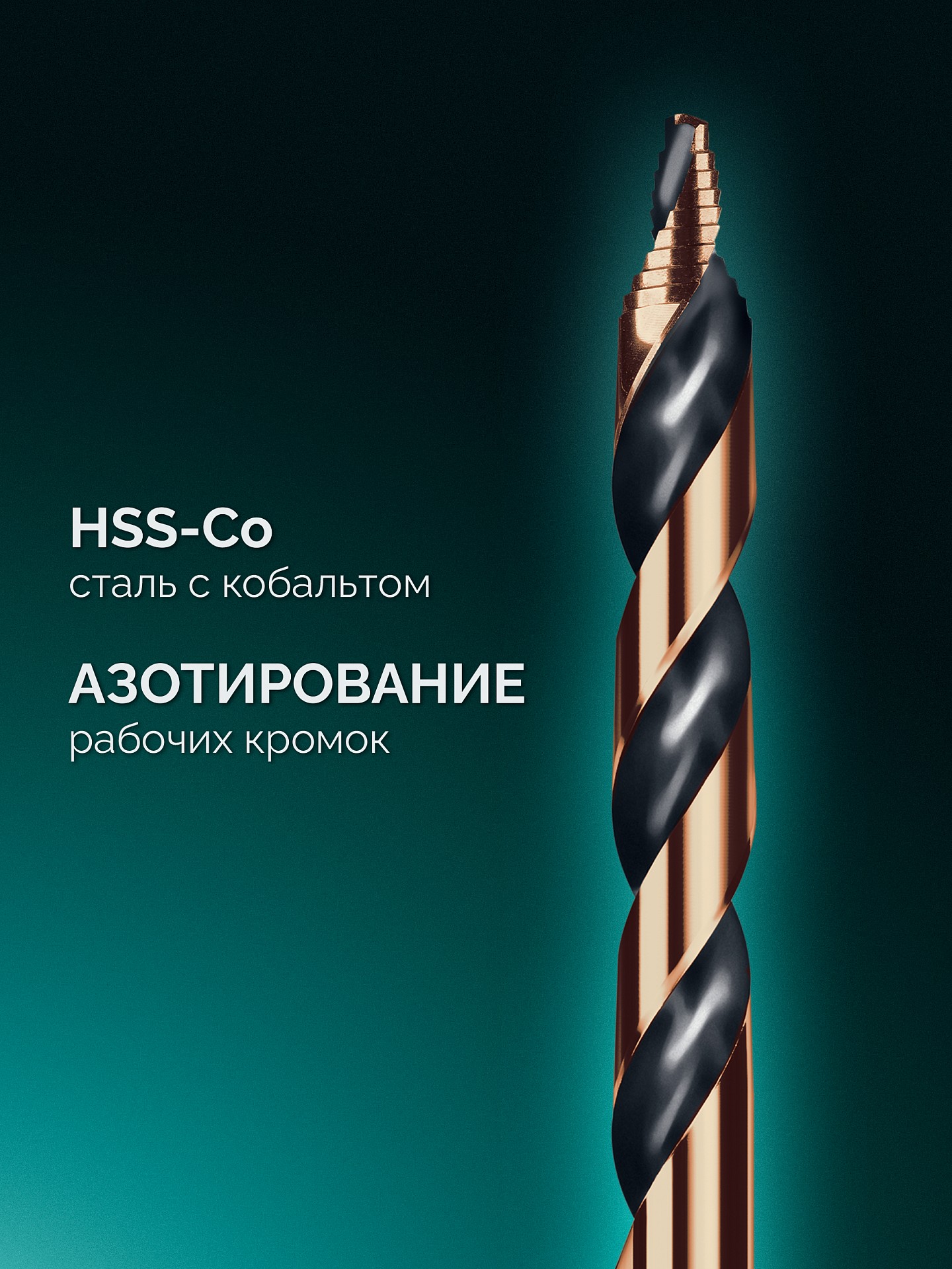 KRAFTOOL STEP POINT, 10 шт, набор сверл по металлу для винтовёртов и шуруповертов IMPACT READY (29653-H10)