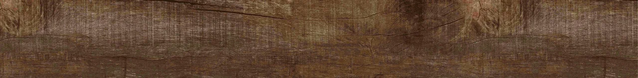 Дуб Джанни/Oak Gianni