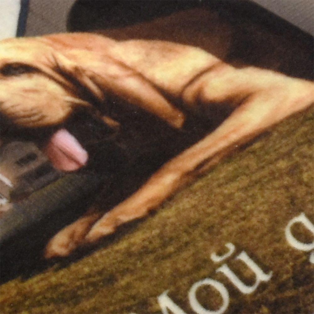 Коврик велюровый 45х75 см Дом крепость