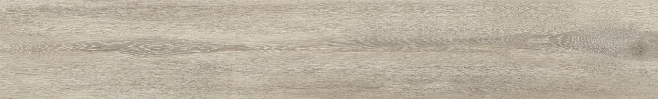  Дуб Христофор/Oak Christofor