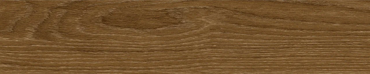 Дуб Оскар/Oak Oskar