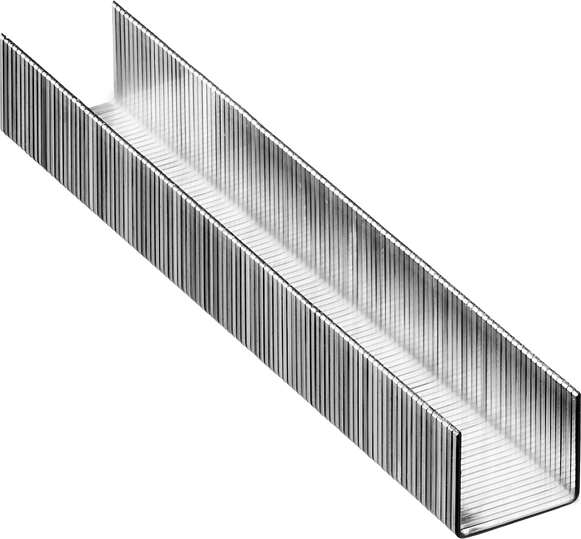 STAYER скобы тип 53 (A/10/JT21), 10 мм, калибр 23GA. 1000 шт. (3159-10)