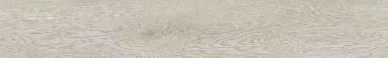 Дуб Виллем/Oak Willem