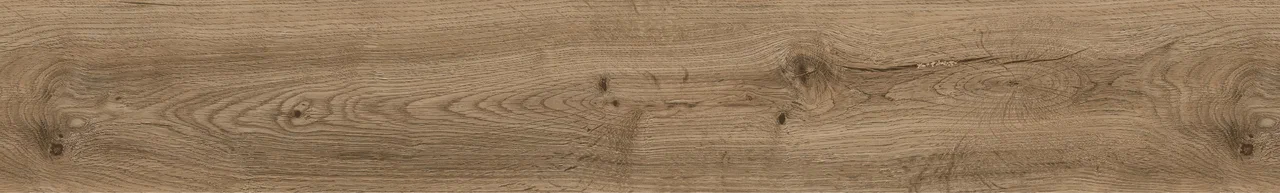 Дуб Торрес/Oak Torres