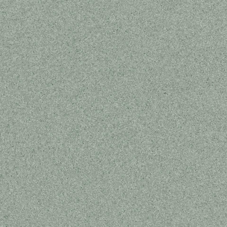 Линолеум коммерческий «Primo plus» CPRPI-311, 2м