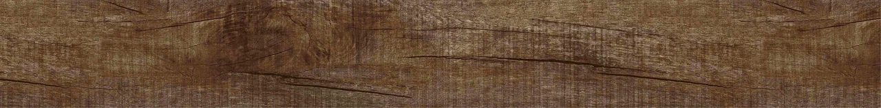 Дуб Джанни/Oak Gianni