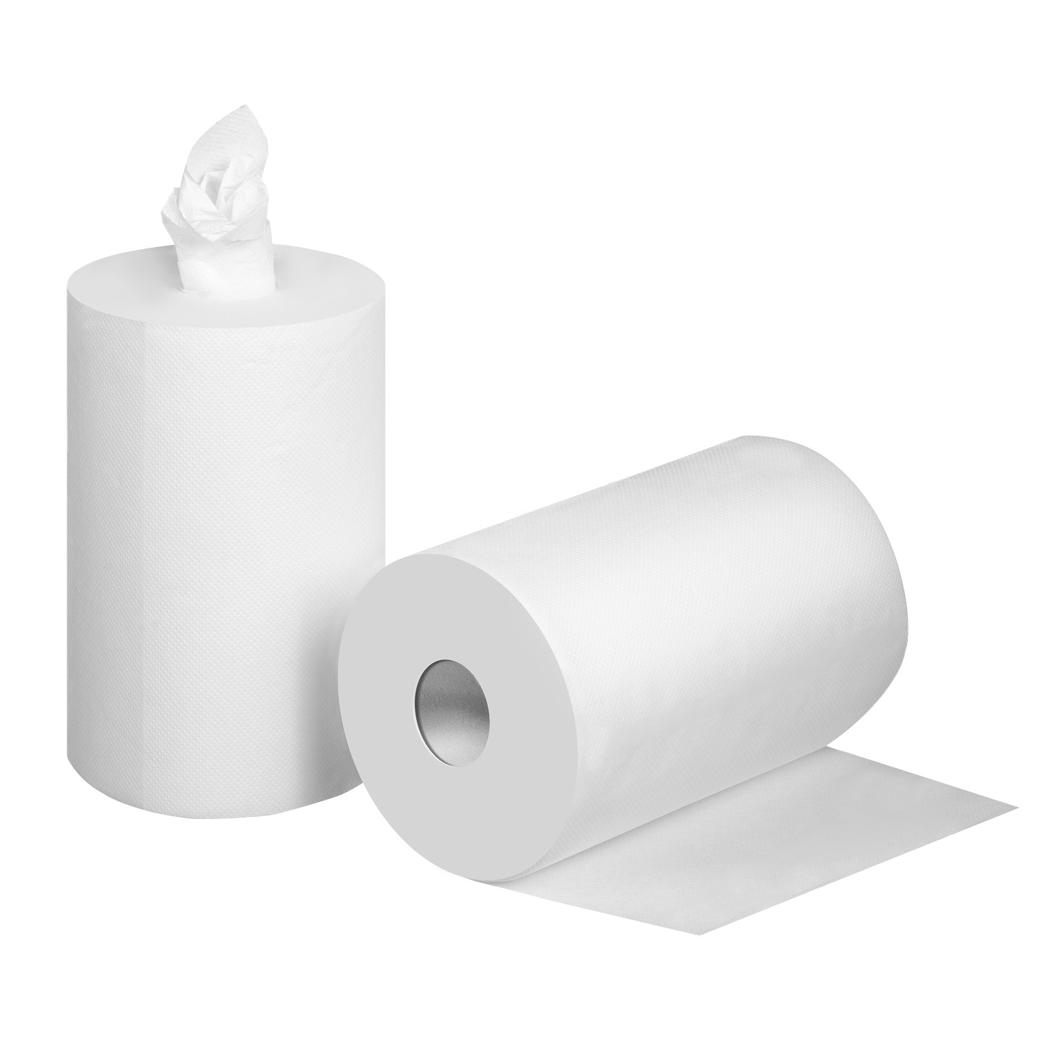 ЗУБР 20 х 25 см, 2-х слойная, в рулоне, 400 листов, 2 рулона, протирочная бумага, Профессионал (12822-20)