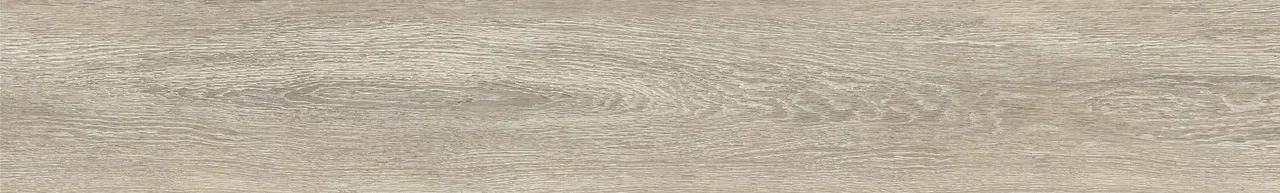  Дуб Христофор/Oak Christofor