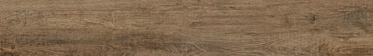 Дуб Френсис/Oak Frencis