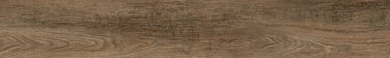 Дуб Френсис/Oak Frencis