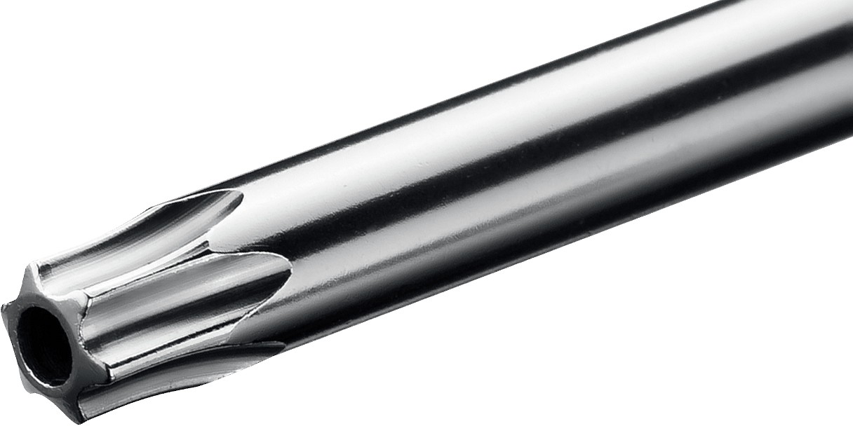 KRAFTOOL Х-Drive, TX HOLE25 x 100, отвертка (250077-25-100)