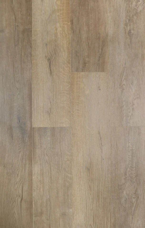 Дуб Васко/Oak Vasko