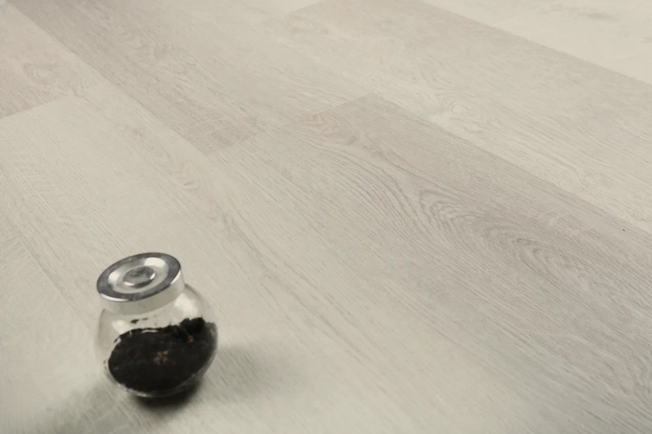 Дуб Виллем/Oak Willem