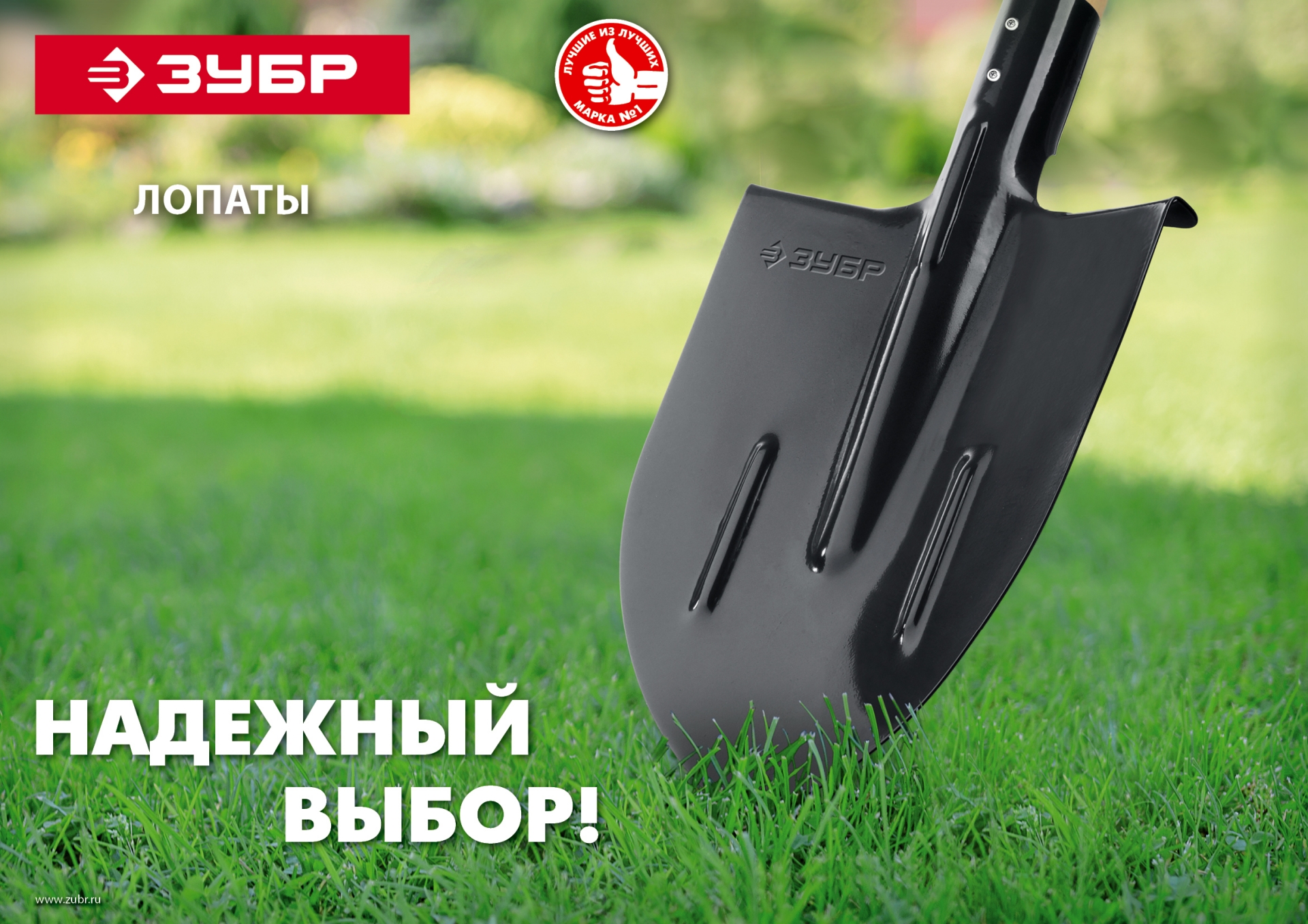 ЗУБР Мастер, без черенка, штыковая лопата, тип ЛСГ, закаленное полотно (39413)