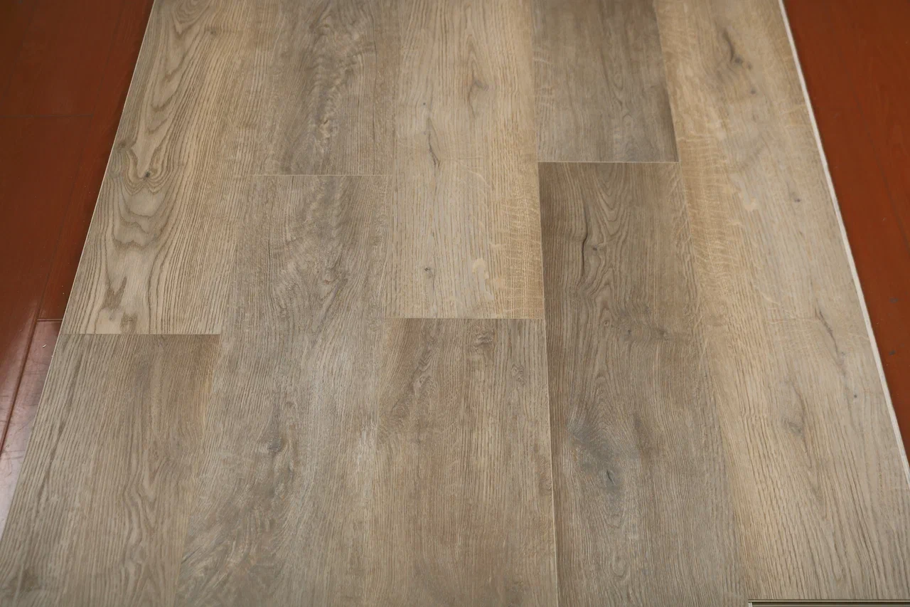 Дуб Васко/Oak Vasko