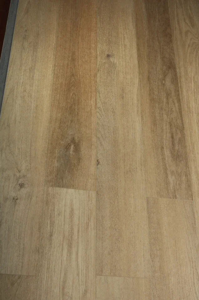 Дуб Кристобаль/Oak Cristobal