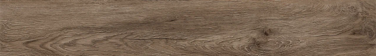 Дуб Америго/Oak Amerigo