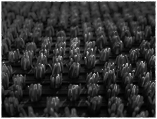 Коврик Балт Турф, 600х900 мм, Ромб, цвет Черный (239)