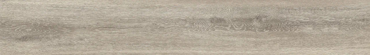  Дуб Христофор/Oak Christofor